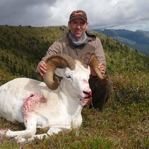 Meet your Posher, Steve